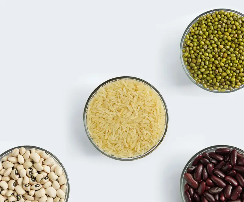 Shah Nanji Nagsi Exports agricultural theme