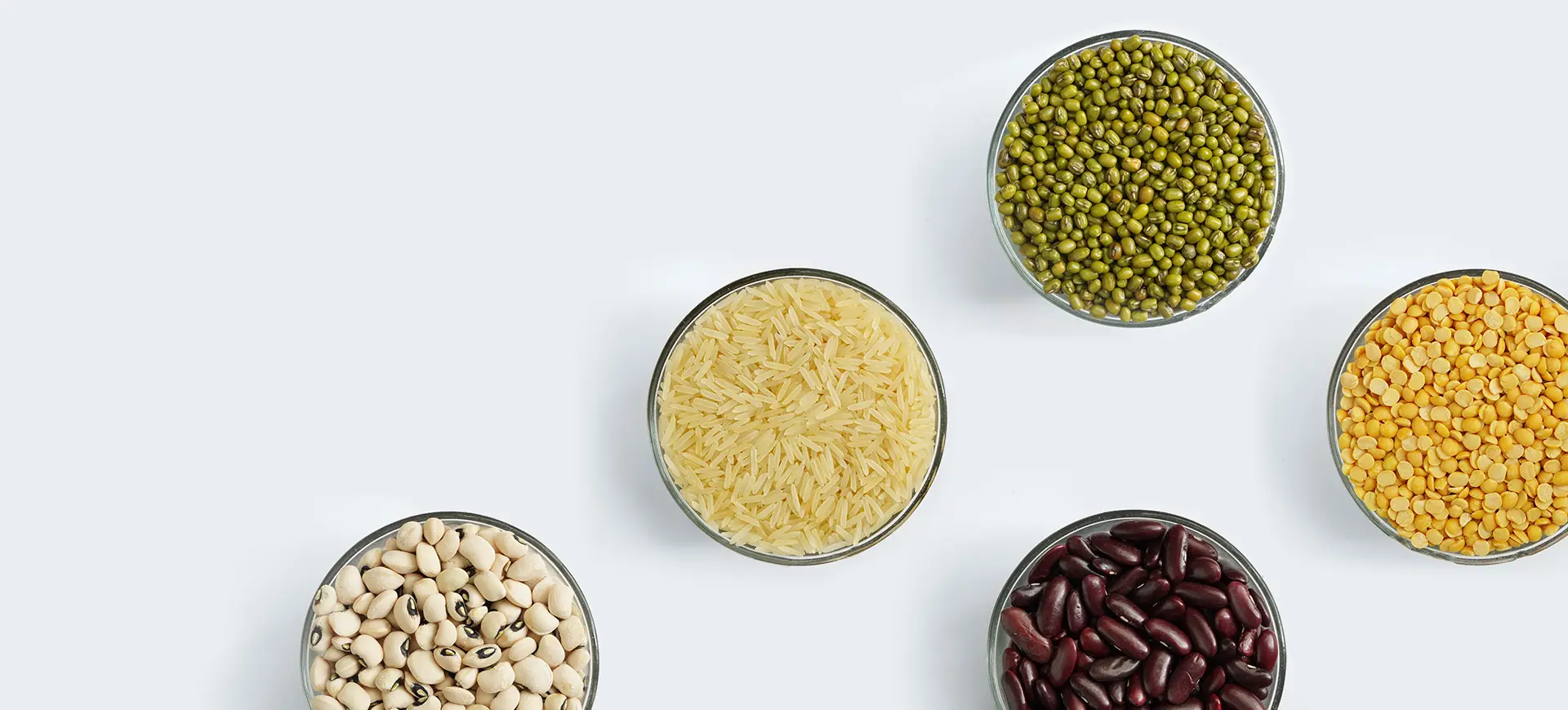 Shah Nanji Nagsi Exports agricultural theme